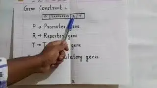 Transgenesis