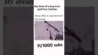 Subscribe pleaseee #automobile #noonewashurt #funny #fyp