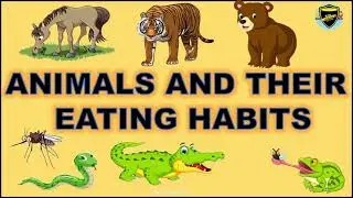 Animals and their Eating Habits | Eating Habits of Animals | Feeding Habits of Animals