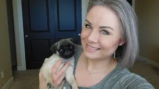 Friday Favorites and Flops & Pupdate!