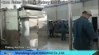 Corn Flakes Production Line | High-Speed Cereal Processing Machinery for Breakfast Snacks