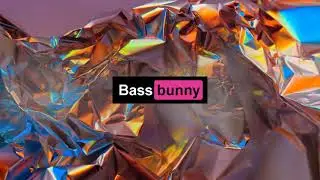Leave Out All The Rest - BassBunny remix