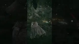 Skill Ahead #eldenring #souls #gaming #soulscommunity #eldenringgameplay #fyp #fypシ゚viral