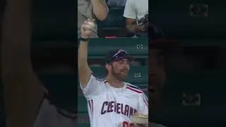 Best Fan catch of the Year? #mlb #fancatch #baseballhighlights #catchoftheyear