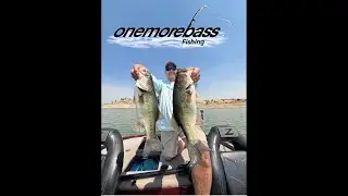 Summer Bass Fishing Tips 🎣 How to Catch Bass (Part 1)