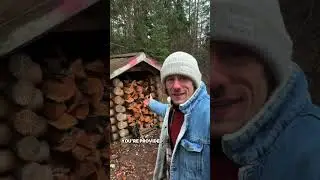 Welcome To A Typical Parkup In Scandinavia!