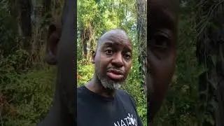 It's Illegal Full Time RV living on our land in Florida