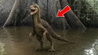 Giant Hybrid Creature Filmed Deep in Brazil - Authorities Tried to Hide IT!