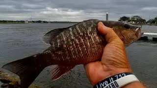 Land based fishing in Jacksonville and St Augustine, tough weather conditions! I am a Fishoholic!