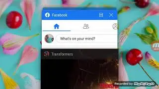 Open 2&times;premium bot crystal