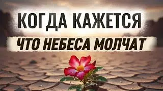 ПЕСНЯ НА СЛОВА: МАРИНЫ ВИЗНЮК — 
