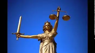 Brownstone Law: Tampa Appeals Lawyers