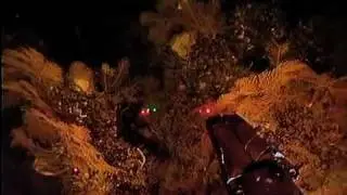 Georgetown Hole Soft Corals