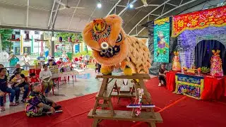 Lion Dance - 火雲宮大二三爺伯千秋 - 舞狮采青助庆  国藝龍獅院 Guo Yi Dragon & Lion  Dance troupe