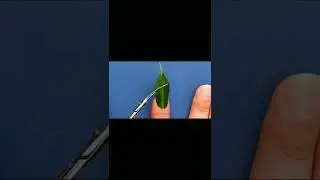 #funny #funny #10dayschallengealgrow