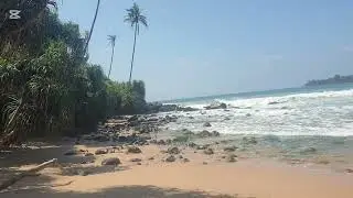 Would You Like to 💚See the Beauty of Talalla Beach? 🌊✨  🌴 #TalallaBeach #SriLanka #Pamithapn