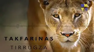 Takfarinas tirrugza touar