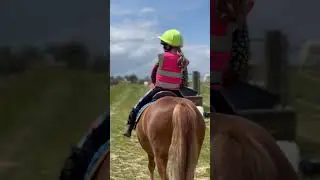 How to look after a pony with EMS ✨ #equinehealth #horsehealth #ems #ponies