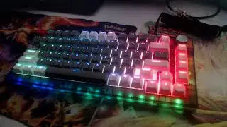Creamy Keyboard ASMR I Playing NitroType (NO TALKING)