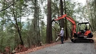 Wildfire Hazard Tree Felling