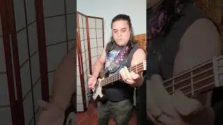 Primus - Lacquer Head Bass Cover #bass #bassguitar #bassplayer #primus #slapbass #lesclaypool