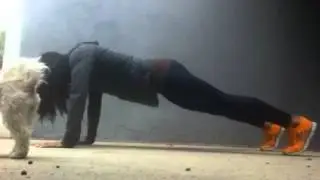 Tara Malia HERBAHERO PUSH UPS
