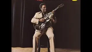 B.B. King - Wee Baby Blues