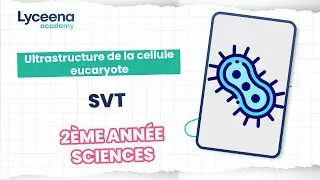 2&egrave;me ann&eacute;e sciences | Sciences | Ultrastructure de la cellule