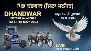 ਪਿੰਡ ਢੰਡਵਾੜ (ਜ਼ਿਲ੍ਹਾ ਜਲੰਧਰ) ਕਬੂਤਰ ਬਾਜ਼ੀ ਦਾ ਮਹਾਂਕੁੰਭ।#PB49PIGEONCLUB