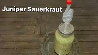 Juniper Sauerkraut