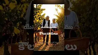 The Parable of the Wicked Tenants - yesu upamanam, paralokarajyam kauludaarulu #parableofjesus #god