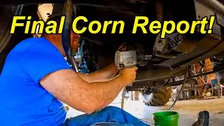 Final Corn Report! 9/26/22