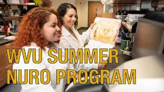 Neuroscience Undergraduate Research Opportunities