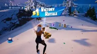 Fortnite Solo Win #20 🏆 