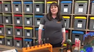 Rediscovery Primary Schools Workshops Video