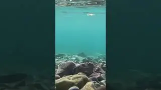 Under Lake McDonald in Glacier.