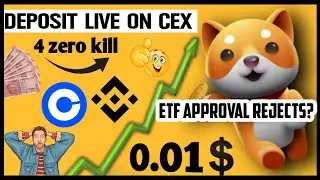 Baby Dogecoin Deposite Live On Indian Exchange? 🥳🔥 BabyDoge Future 🔥 Today Crypto News