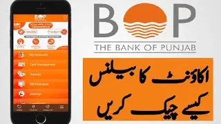 How to Check Bank of Punjab Account Balance Online