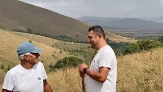 Reforesting 360 Hectares in Urasar, Armenia