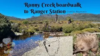 Ronny Creek boardwalk, Cradle Mountain TASMANIA