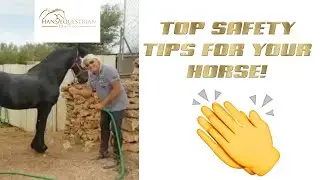 Top Safety Tips For Your Horse - Keep Your Horse Safe Using These Useful Tips