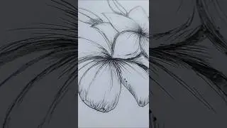 How to draw Flower #shorts #ytshorts #youtubeshorts #Art Gallery 14