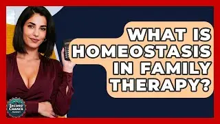What Is Homeostasis In Family Therapy? - Second Chance Journey
