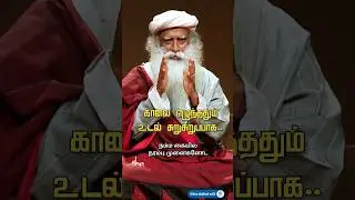 காலை எழுந்ததும் உடலை சுறுசுறுப்பாக்குவது எப்படி? | How To Activate Your Entire Body In The Morning?