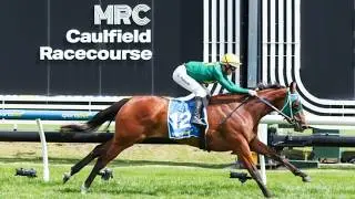 SHEZA SURE THING!? Caulfield, Morphettville - Horse Racing Tips (21/2/26)