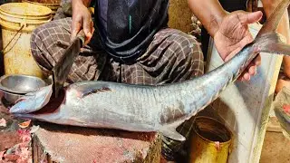 Amazing King Fish Cutting Skills In Bangladesh Fish Market By Expert Cutter