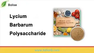 What is Lycium Barbarum Polysaccharide(LBP)? Where to buy?