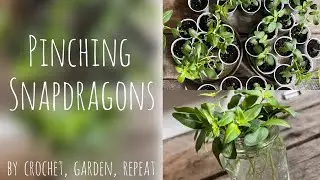 Pinching Snapdragons🌱🪴 Crochet, Garden, Repeat