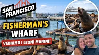  🔥 Pier 39 e Fisherman&rsquo;s Wharf 🇺🇸 I famosissimi leoni marini di San Francisco! 🦭🌉