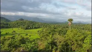 #Myvillage #kakkayur #Kottamala #Palakkad